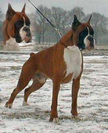 yndhy de la verdiére