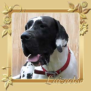 Luizador Esperanto