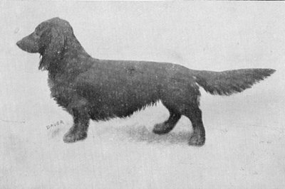 Sola vom Teufelsfels