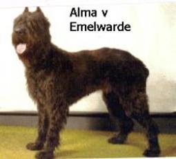 Alma v Emelwarde