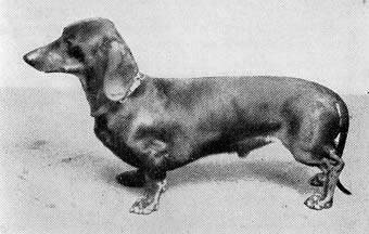 Walter von Lichtenstein