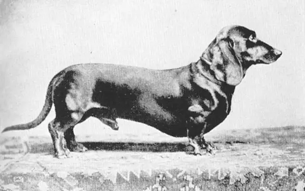 Hans von Lichtenstein