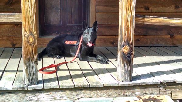 JT's Midnight Khaotic Rampage