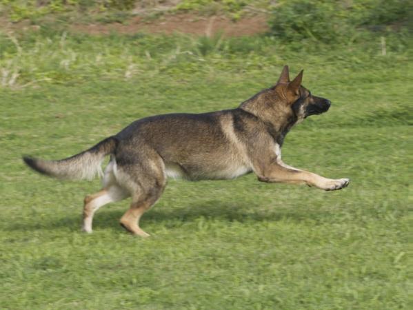Brent Fan'e Lyntsje Snijers