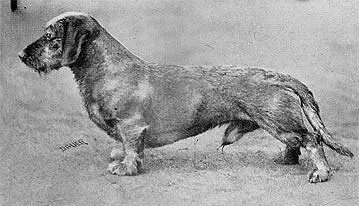Klausners Bautz