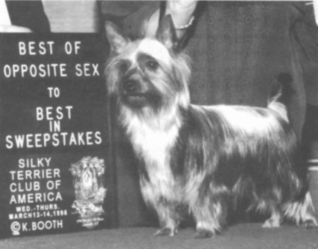 Tawny Mist Shalee Cool Silk