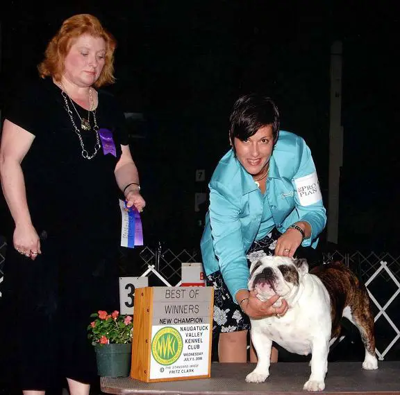 CH (AKC) Cherokee Just Delicious