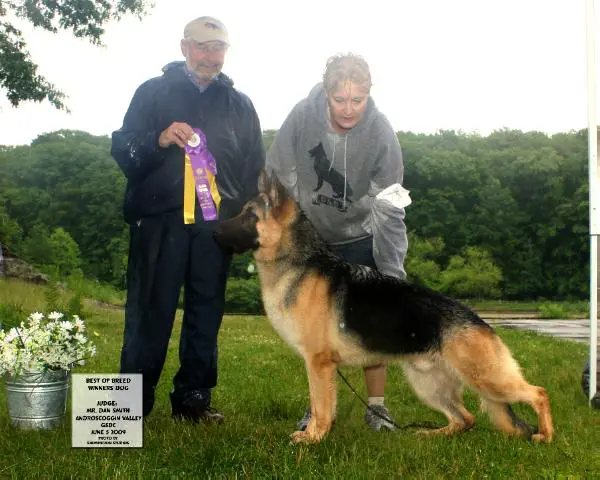 GCH Abedon's Picasso of Windover