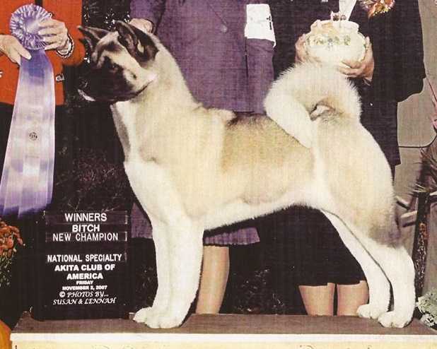 AKC CH Regalia's Sweet Revenge