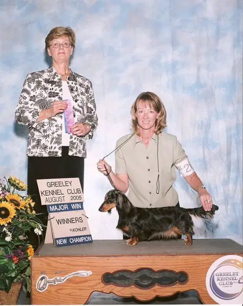 AM CH High Plains Giddyup MLD