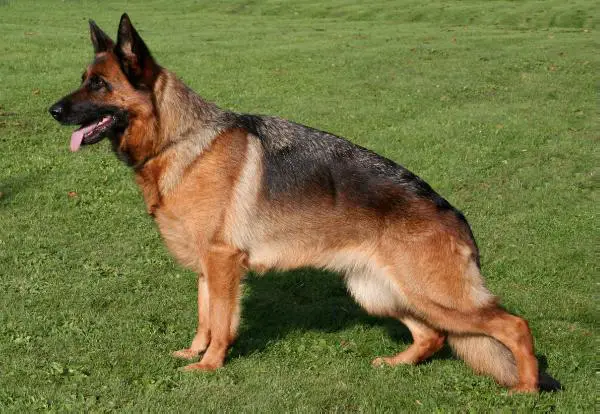 VA4 (USA) Blake v TeMar