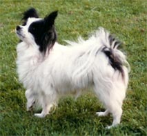 Po-Em Lullu