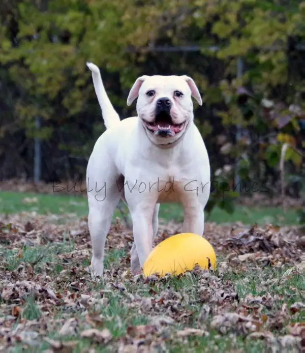 MoJo's Mary Jane AKA Spaz
