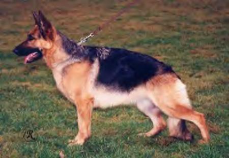 V Katja vom Zellwaldrand