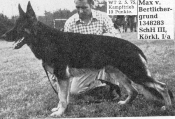 Max vom Bertlichergrund