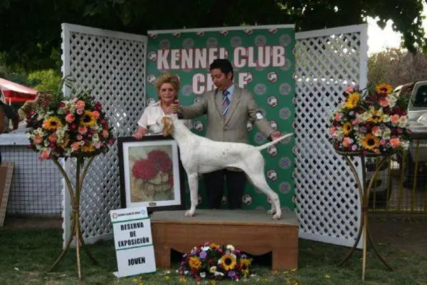 SEASYDE'N' ERIN'S HEAR HIM ROAR