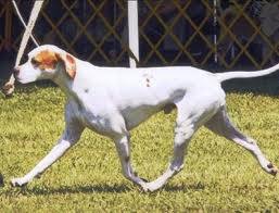 CH. Majesty it'S good to be king