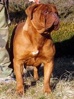 Eklektic Girl "Od Kuće R"