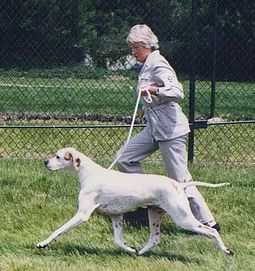 BOOKSTORE ROBERT FROST