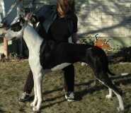 Bmw Vg A Splash of Ouzo