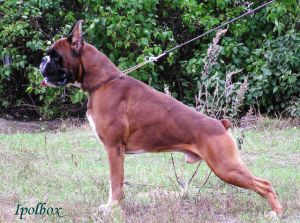 INT.CH/RUS/CHUKRAINE Ysben v. Bispus