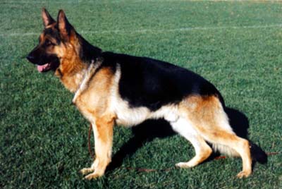 V Jupiter vom Mönchberg