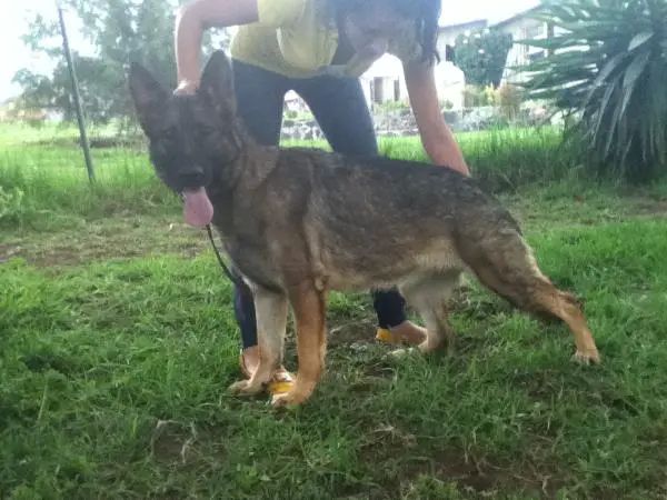 Katia vom Respra Haus