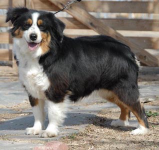 TMR Singin Sweet Cindy Lou