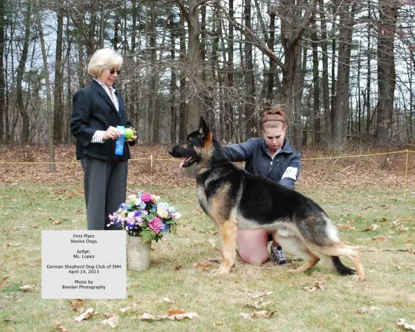 Touchstone's Turnin' Up The Heat