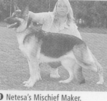 Netesa's Mischief Maker
