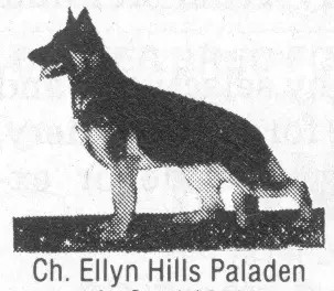 CH (AKC) Ellyn Hill's Paladen