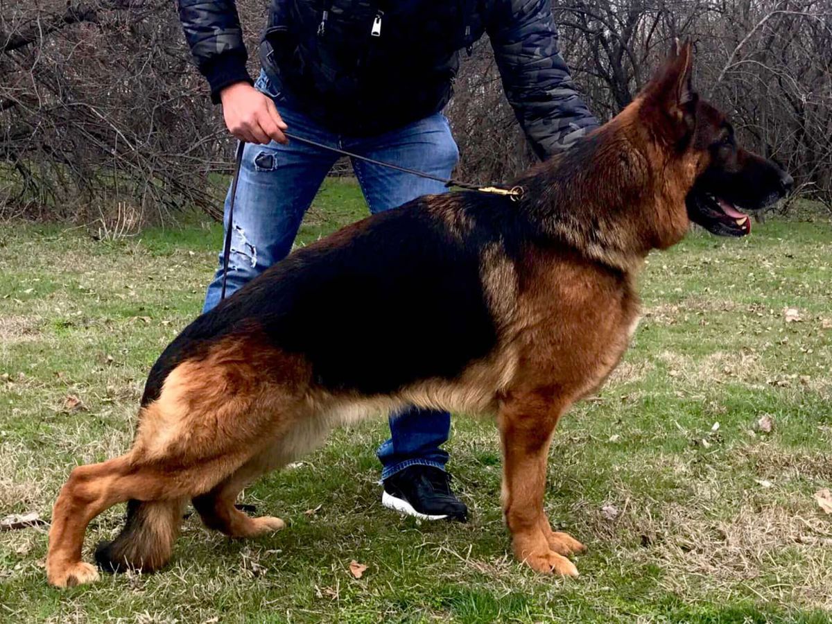 VA2 RO VA2 TR SG 66 (BSZS 2014) Vac-Vagvölgyi Milton