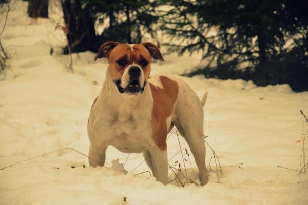 Skymberg's Coco Chanel