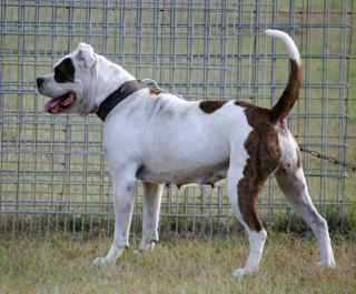 Ellie mae of AS