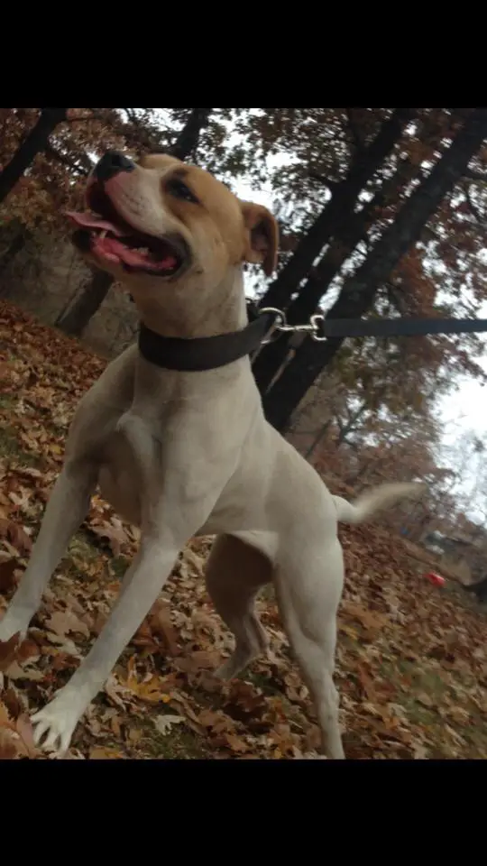 Castillo's Naughty of Margentina's