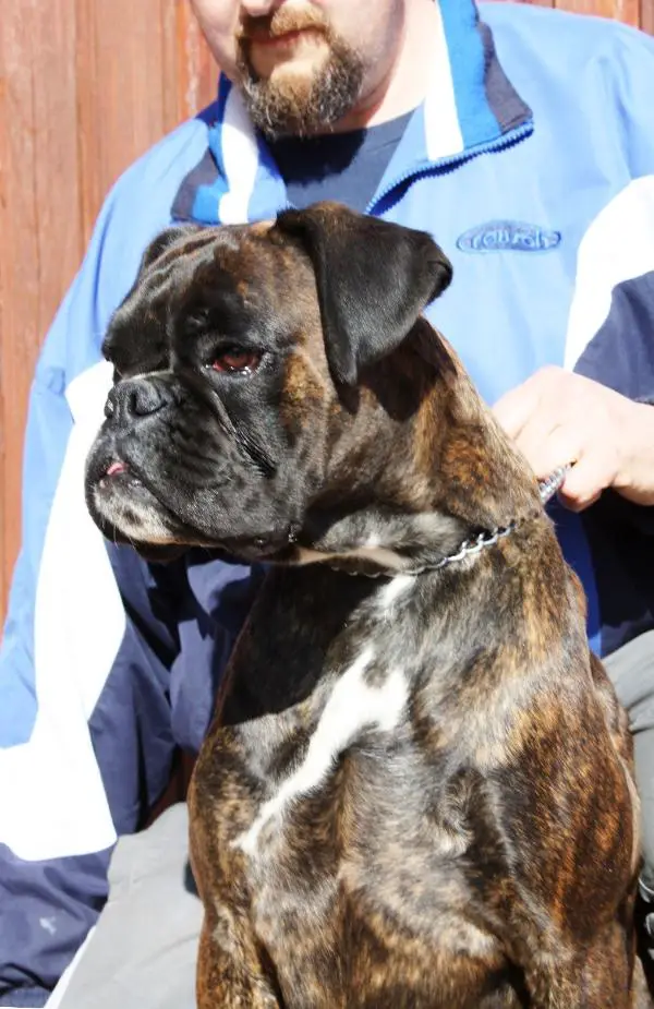 Ecstasy di Villa Hunnicum