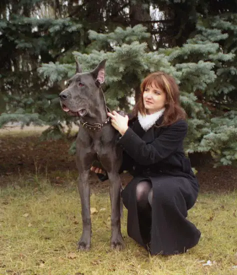 CH BOGEMA-Bagam-Kuzina Podarok Sudbi