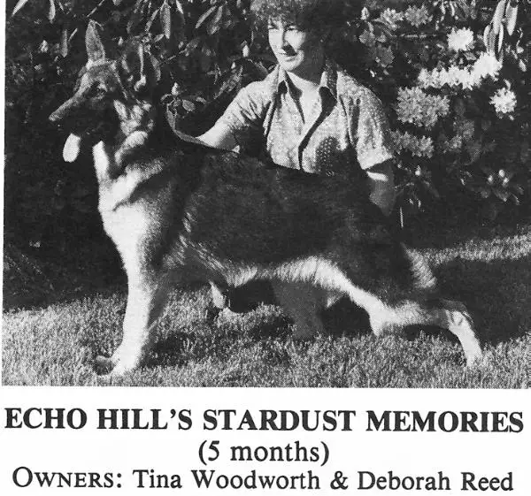 Echo Hills Stardust Memories