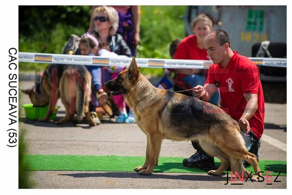 CACJ,BOB,BOG,BF,CAC Hany von Hause Harand