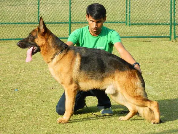 Louis of Sanjay