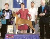 AM COL CH Latin Dream of Tierradentro