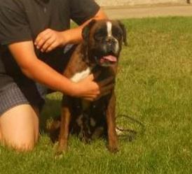 Valentina di Marinero