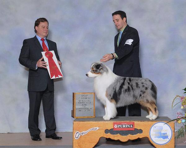 BIS AKC GCHG/ASCA CH Copperridge's One Time Offer