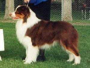 Kinetic's Great Expectations