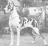 Ulkige vom Haus Fresena