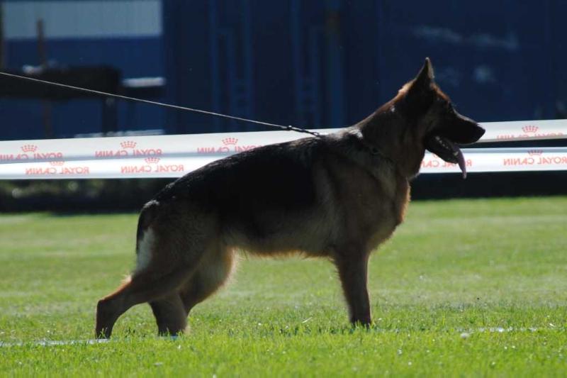 VA(UA) Elli Schwarzes Meer