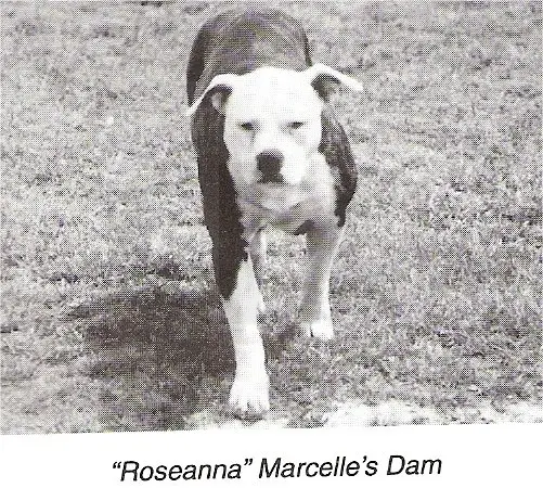 Roseanne Aka Roseanna lane