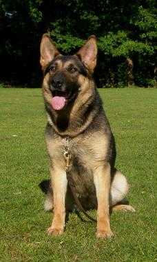 Tami von der Eichendorfschule