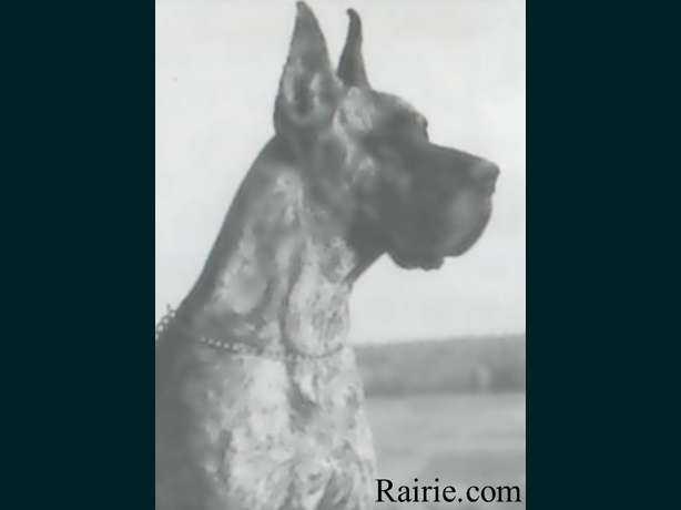 Empire des Terres de la Rairie