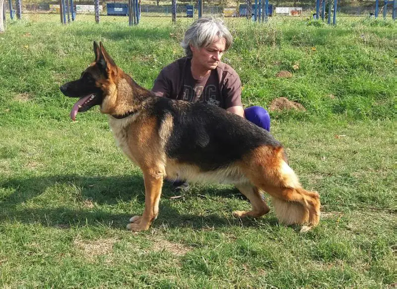 Gloria von Fliegendenstern